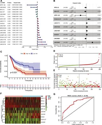 Characterization of tumor immune microenvironment and cancer therapy for head and neck squamous cell carcinoma through identification of a genomic instability-related lncRNA prognostic signature